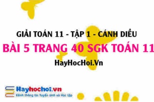 Giải bài 5 trang 40 Toán 11 tập 1 SGK Cánh Diều